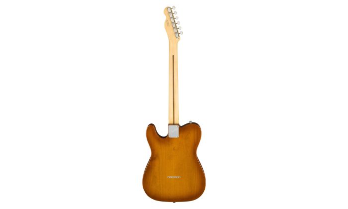 ギター Fender USA ALL Rosewood Telecaster Musiaudio | Guitarra Fender American Performer Telecaster